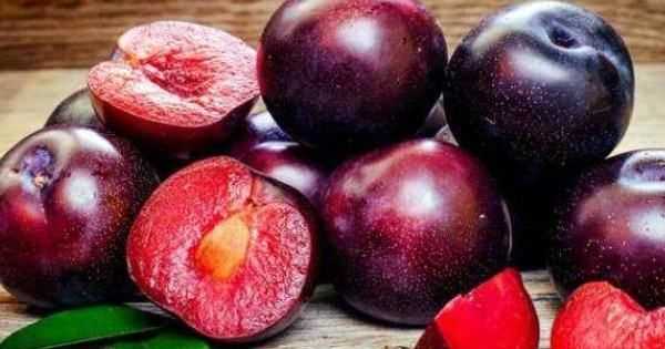 為什么李子里面有透明結晶,李子里面有透明晶體圖片圖3