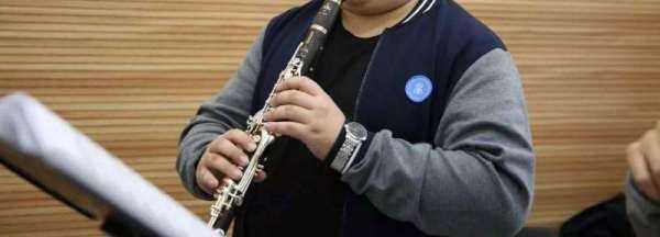 clarinet是什么樂器,clarinet是什么樂器 樂器clarinet的介紹圖1