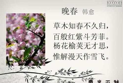 百般紅紫斗芳菲的上一句是什么古詩(shī)