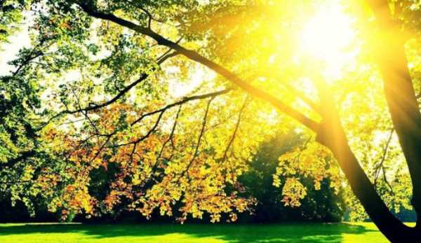 室內(nèi)有紫外線,陽光沒有直射到室內(nèi)室內(nèi)還有紫外線輻射嗎圖1