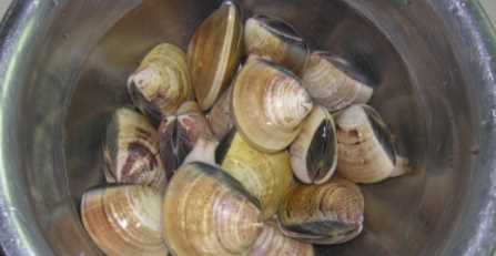 花蛤煮5分鐘能吃嗎,蛤蜊煮多久幾分鐘能熟圖2