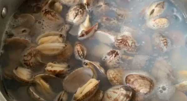 花蛤煮5分鐘能吃嗎,蛤蜊煮多久幾分鐘能熟圖13