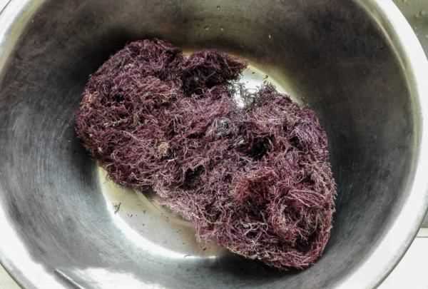 自制石花菜涼粉水的比例,石花菜涼粉怎么涼拌好吃竅門圖2