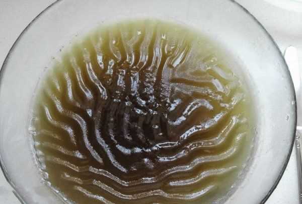 自制石花菜涼粉水的比例,石花菜涼粉怎么涼拌好吃竅門圖6