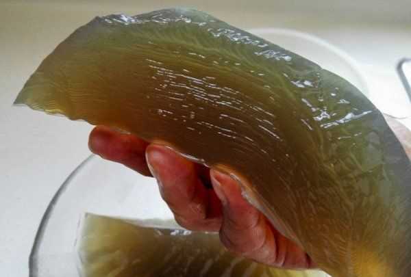 自制石花菜涼粉水的比例,石花菜涼粉怎么涼拌好吃竅門圖7