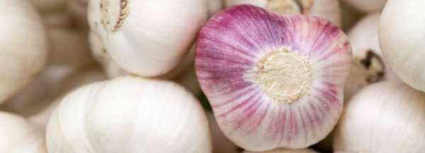 大蒜放冰箱冷藏可以,蒜可以放冰箱冷藏室保存嗎圖2