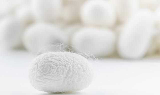 百分百桑蠶絲衣服的優(yōu)缺點(diǎn)