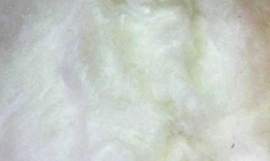 桑蠶絲的優(yōu)缺點(diǎn)，百分百桑蠶絲衣服的優(yōu)缺點(diǎn)？圖4