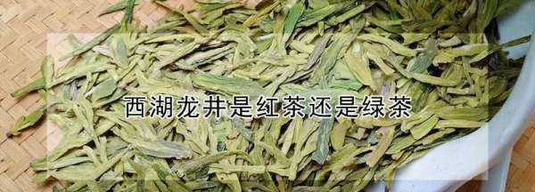 西湖龍井是綠茶,龍井茶屬于紅茶還是綠茶圖6