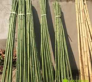 竹竿的桿是這個桿嗎