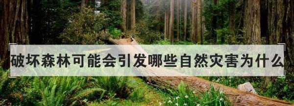 破壞森林可能會引發(fā)哪些自然災(zāi)害為什么,破壞森林對環(huán)境的危害圖2