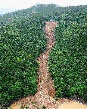 破壞森林可能會引發(fā)哪些自然災(zāi)害為什么,破壞森林對環(huán)境的危害圖3