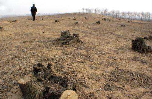 破壞森林可能會引發(fā)哪些自然災(zāi)害為什么,破壞森林對環(huán)境的危害圖4