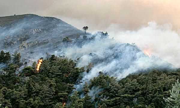 破壞森林會帶來哪些危害