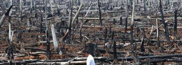 破壞森林可能會引發(fā)哪些自然災(zāi)害為什么,破壞森林對環(huán)境的危害圖7