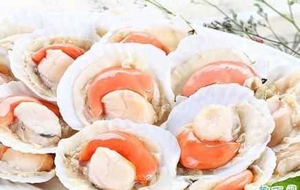 扇貝與什么食物相克香哈網(wǎng)