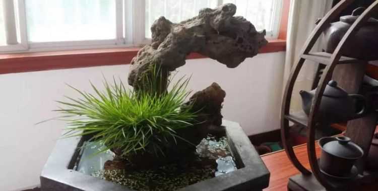 左邊一個(gè)提手旁，右邊一個(gè)昌，怎么讀怎么念