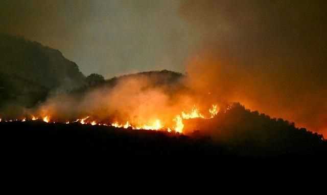 森林火災后應該積極采取什么措施