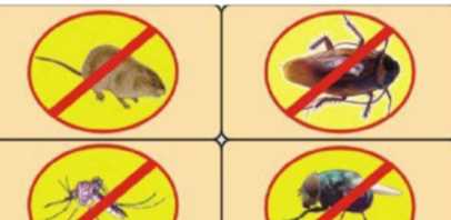 五害是哪五個(gè),五害指的是哪五個(gè)人圖1