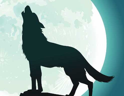 小動(dòng)物自己治病的方法,什么動(dòng)物自己能治病作文圖1