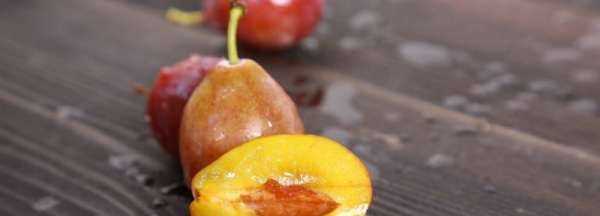 西梅能凍起來(lái)保存,西梅可以冷凍保存多久圖1