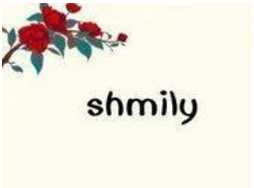 shlimy代表什么,YTQ- shmily是什么意思圖1