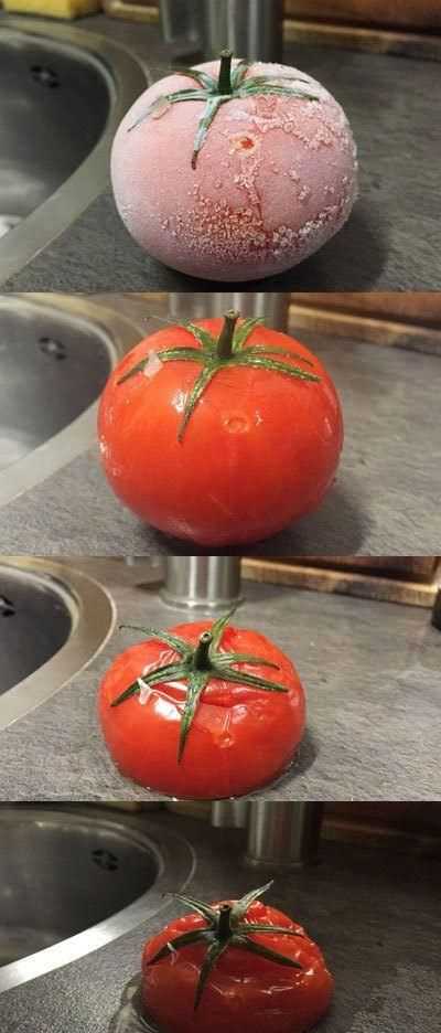 西紅柿適合放冰箱嗎?