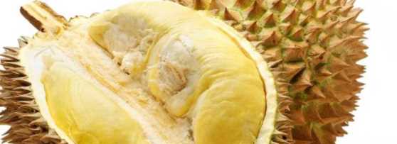 榴蓮熟了會(huì)自己裂開,榴蓮熟了都會(huì)自己裂開嗎圖1