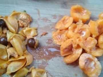 枇杷泡蜂蜜要去核,枇杷泡蜂蜜去皮好還是不去皮好圖3