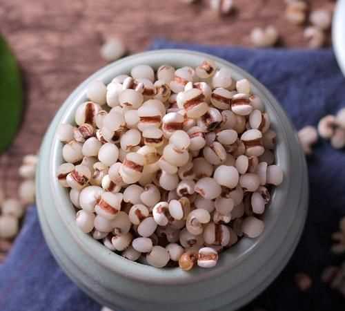 薏米和什么搭配最好