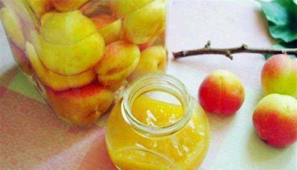 怎樣自制發(fā)酵杏子酒,杏子可以泡酒嗎杏子如何泡酒圖4