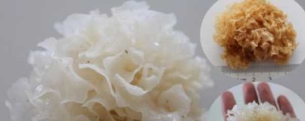 銀耳泡發(fā)0分鐘可以,銀耳需要泡多久才能泡發(fā)好圖1