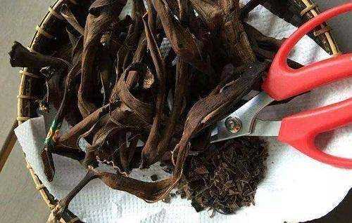 香蕉皮泡水幾天能澆花,香蕉皮泡水的泡多長時間才能用來澆花圖5