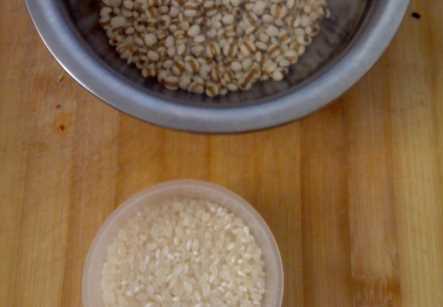 薏米可以和大米一起煮,薏米和大米可以放在一起嗎?圖8