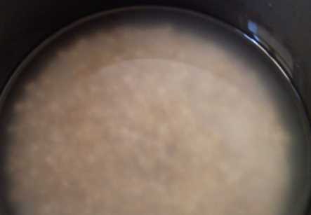 薏米可以和大米一起煮,薏米和大米可以放在一起嗎?圖10