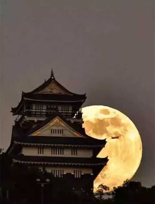 西江月夜行黃沙道中出自哪里