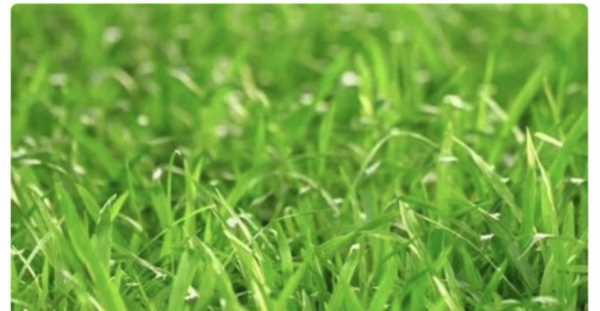 小雨點(diǎn)會變成什么,小雨點(diǎn)兒上山坡變成蘑菇笑呵呵照樣子寫句子圖2