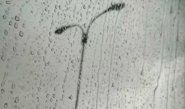 小雨點(diǎn)會變成什么,小雨點(diǎn)兒上山坡變成蘑菇笑呵呵照樣子寫句子圖4