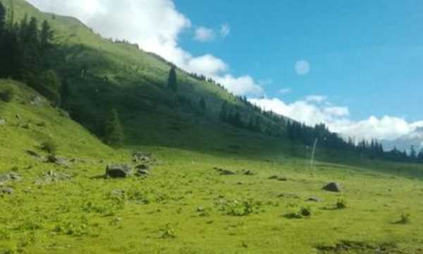 樹(shù)木茂盛的意思,群山環(huán)繞,樹(shù)木茂盛的意思圖2