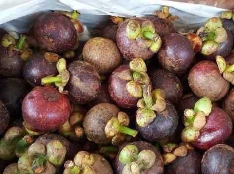 深紫色的厚皮，里面是白色透明的一瓣一瓣的果肉叫什么名字