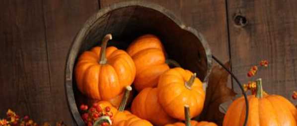 南瓜糖分高,南瓜含糖量是多少?圖1