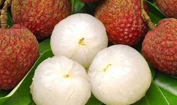 吃荔枝上火了怎么辦 如何解決吃荔枝上火