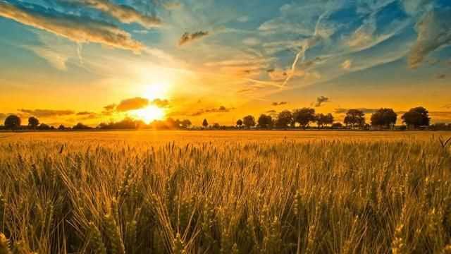 八月是秋天嗎，八月八日是秋天的第一天嗎？圖5