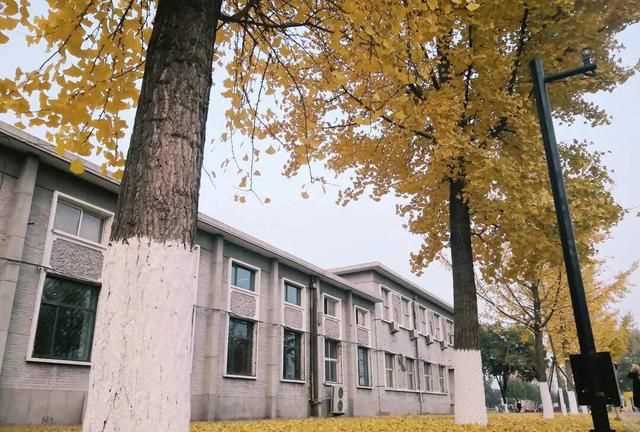 八月是秋天嗎，八月八日是秋天的第一天嗎？圖6