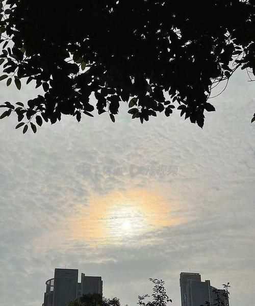 雨過天晴打一生肖是什么