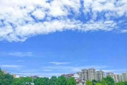 十二生肖雨過天晴指的是什么生肖