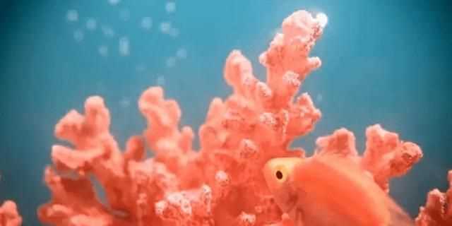 粉色分類，粉色分類及顏色示意圖？圖6