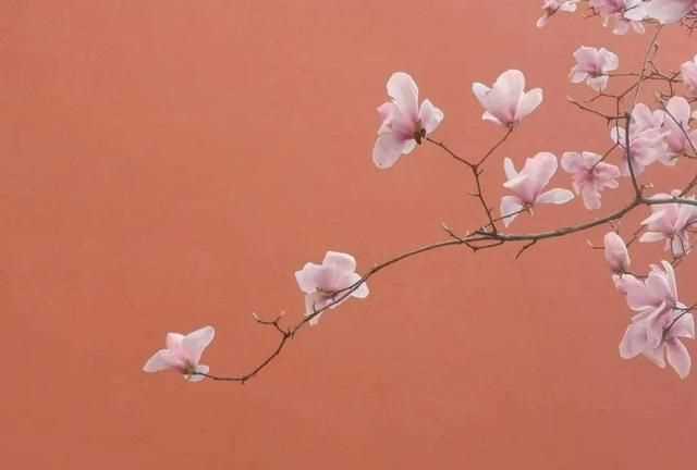 粉色分類，粉色分類及顏色示意圖？圖10