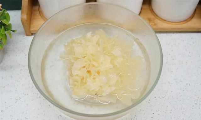 樹燕窩和燕窩區(qū)別