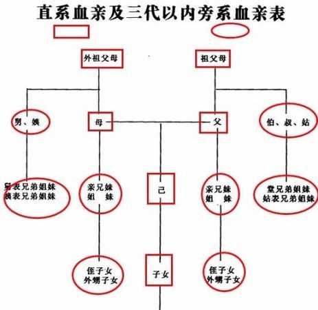 血親的關(guān)系是什么意思